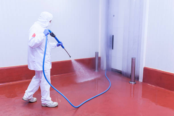 Best Dumpster Area Cleaning  in Stepney, CT