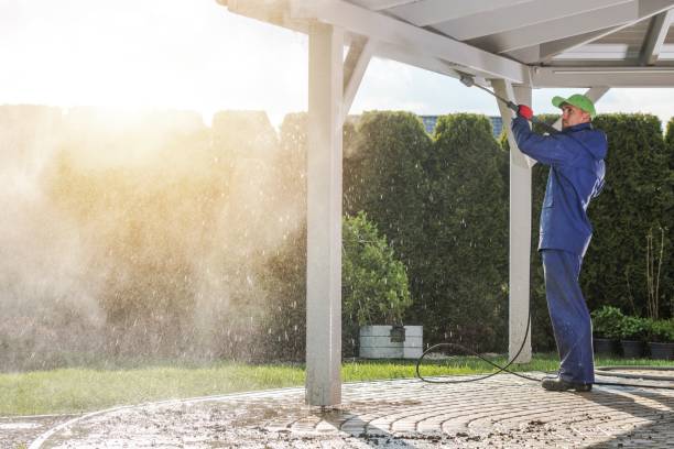 Best Driveway Pressure Washing  in Stepney, CT